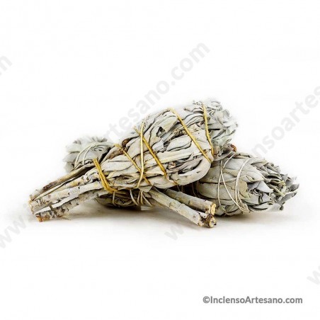 Atado de Salvia Blanca de California Pequeño